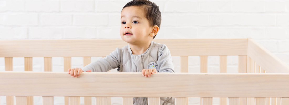 Your Baby's 8 - 10 Month Sleep Regression: Signs and Solutions | Dreamland Baby