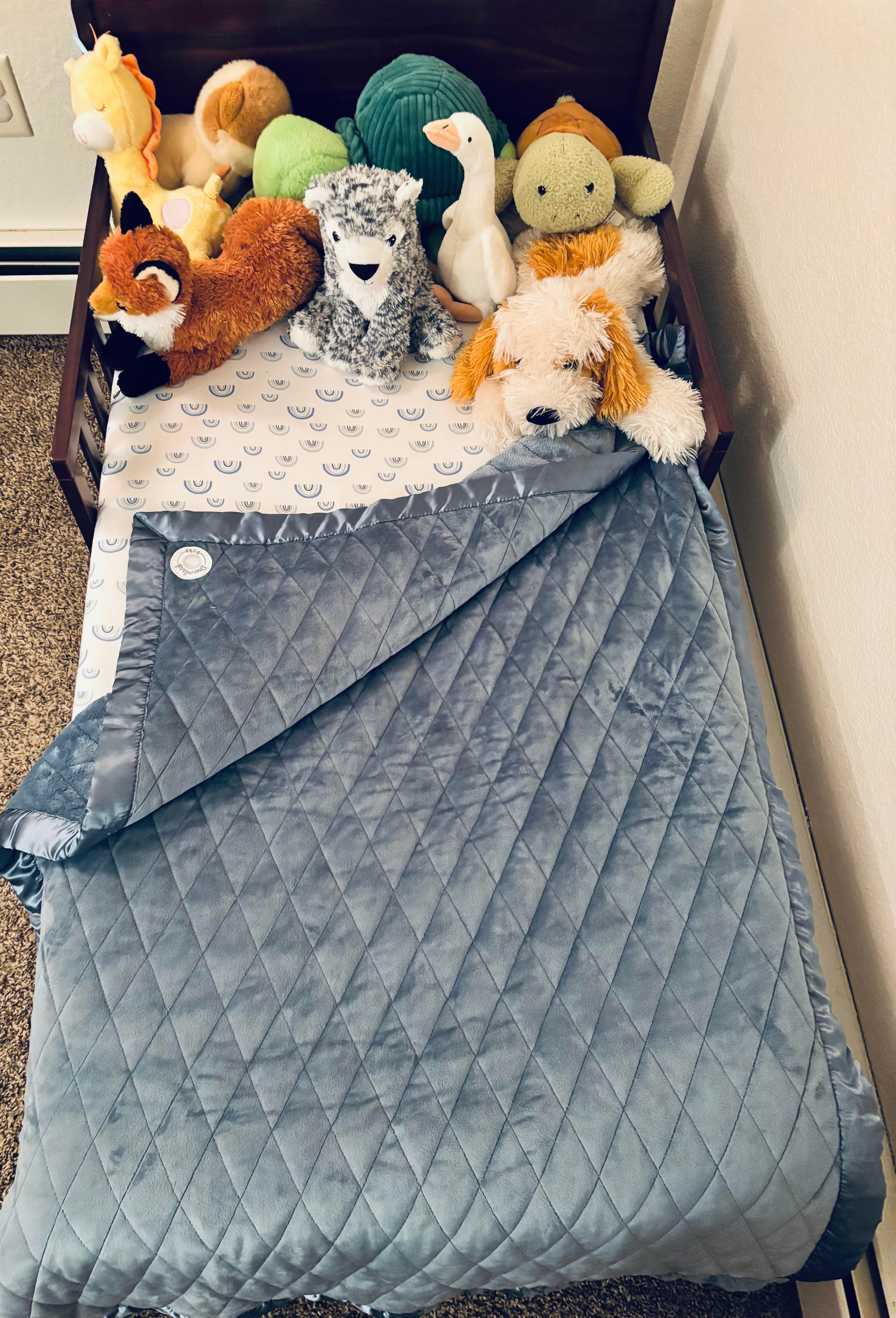 Dreamland Spotlight - Meet the Morgan Family
