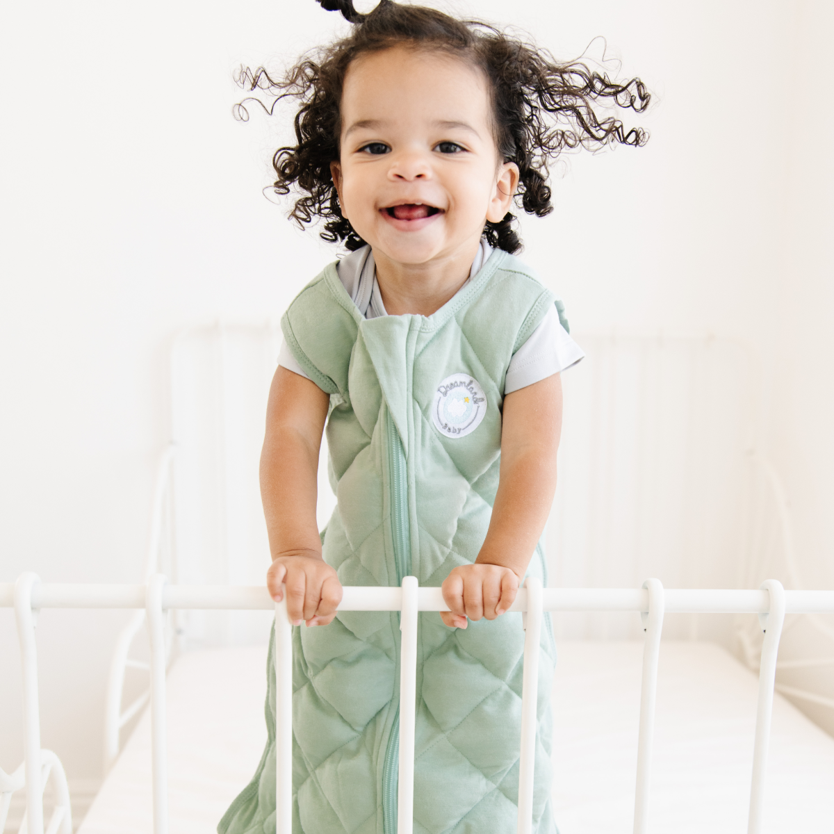 Dream Weighted Sleep Sack - 1/17/24