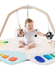 The Play Gym