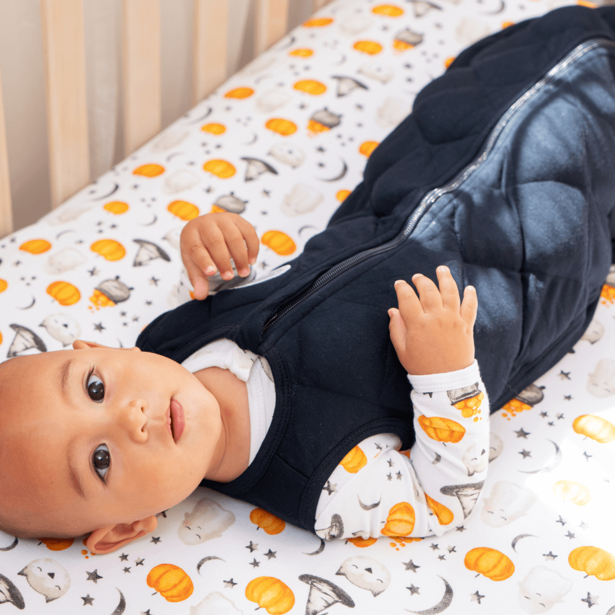 Dream Weighted Sleep Sack - 1/17/24
