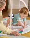 The Play Gym