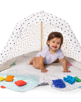 The Play Gym