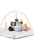 The Play Gym