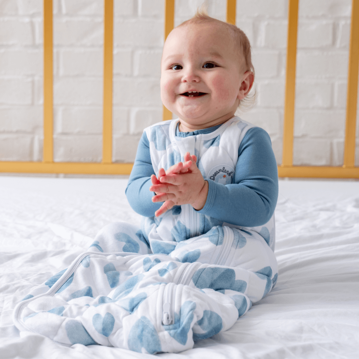 Dream Weighted Sleep Sack - 1/17/24