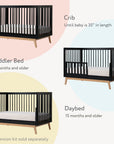 Soho 3-in-1 Convertible Crib