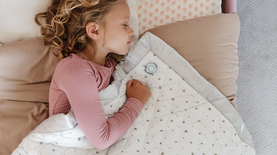 How To Introduce A Blanket To A Toddler Dreamland Baby