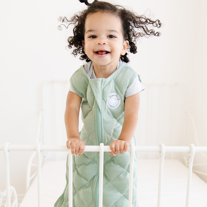 Dream Weighted Sleep Sack 2.5 TOG Practically Perfect