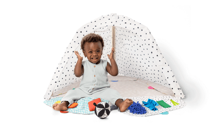 The Play Gym