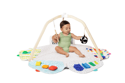 The Play Gym