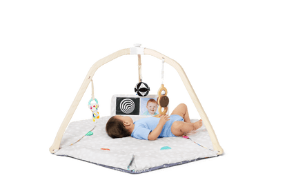 The Play Gym