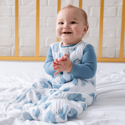Dream Weighted Sleep Sack - 1/17/24