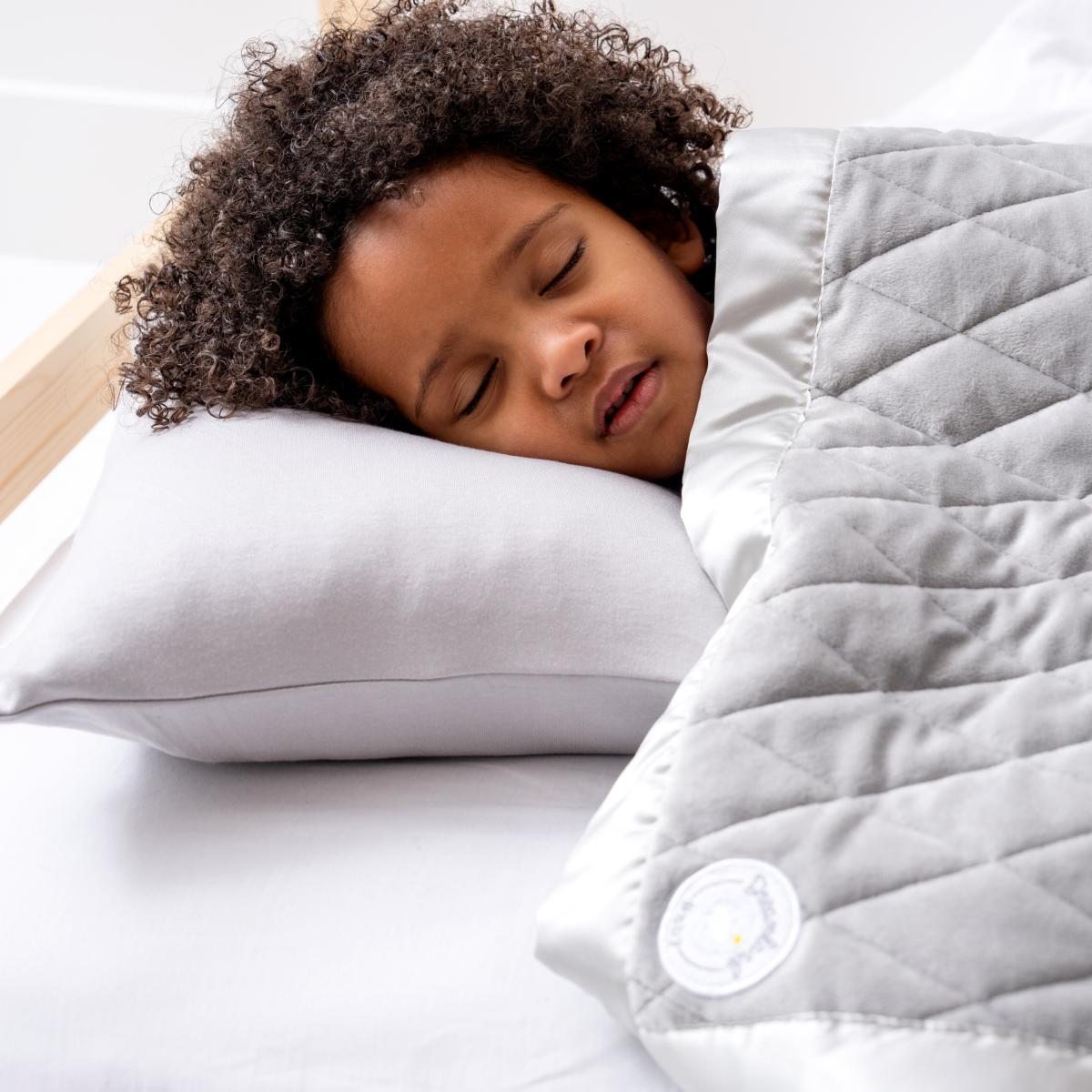 Dream Toddler Pillow With Bamboo Pillowcase Dreamland Baby dream-toddler-pillow-with-bamboo-pillowcase-dreamland-baby