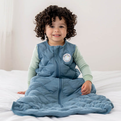 the dream bag schlafsack Dream Weighted Sleep Sack - Moon Grey / 24